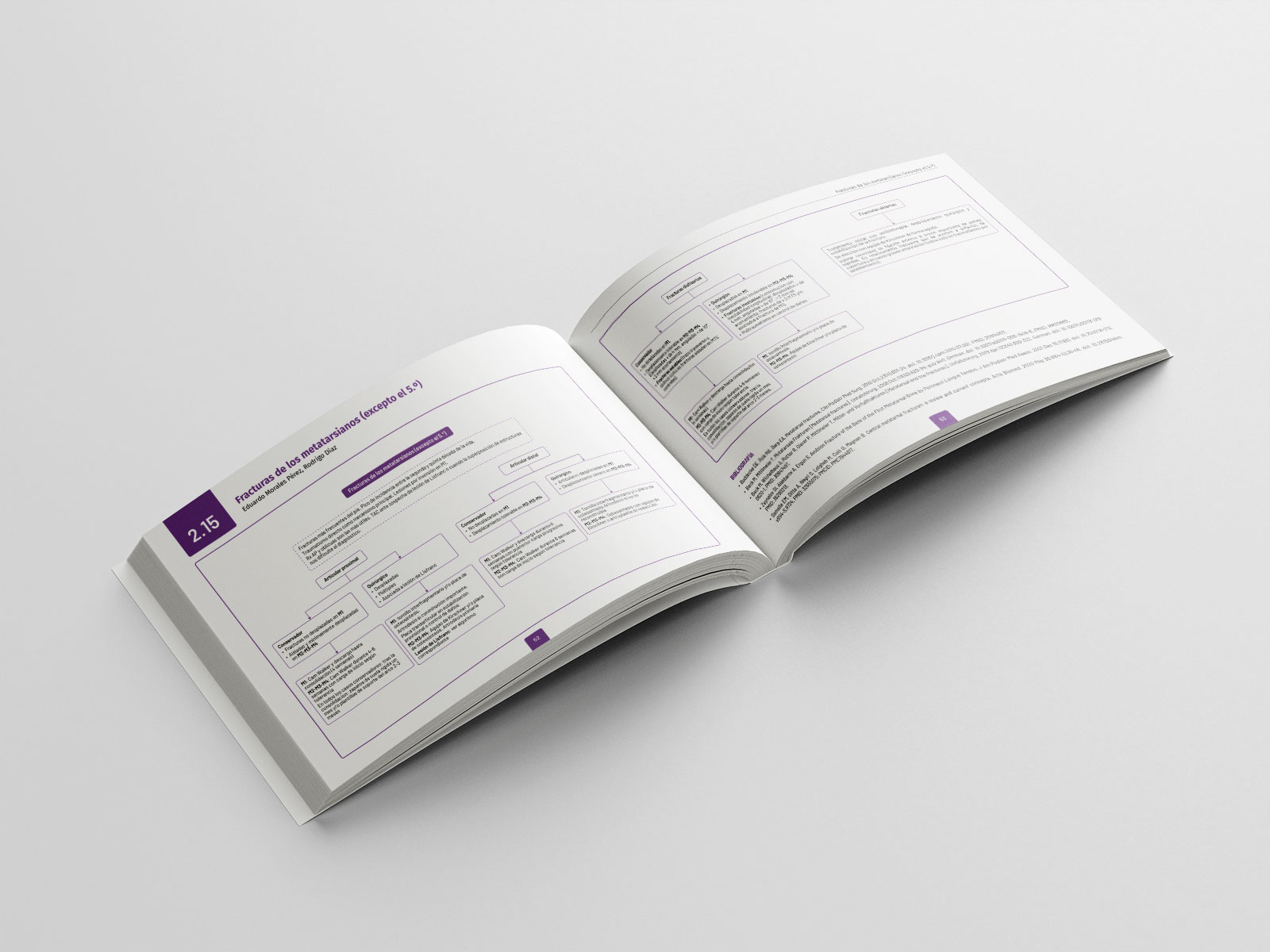 Book-Mockup-2